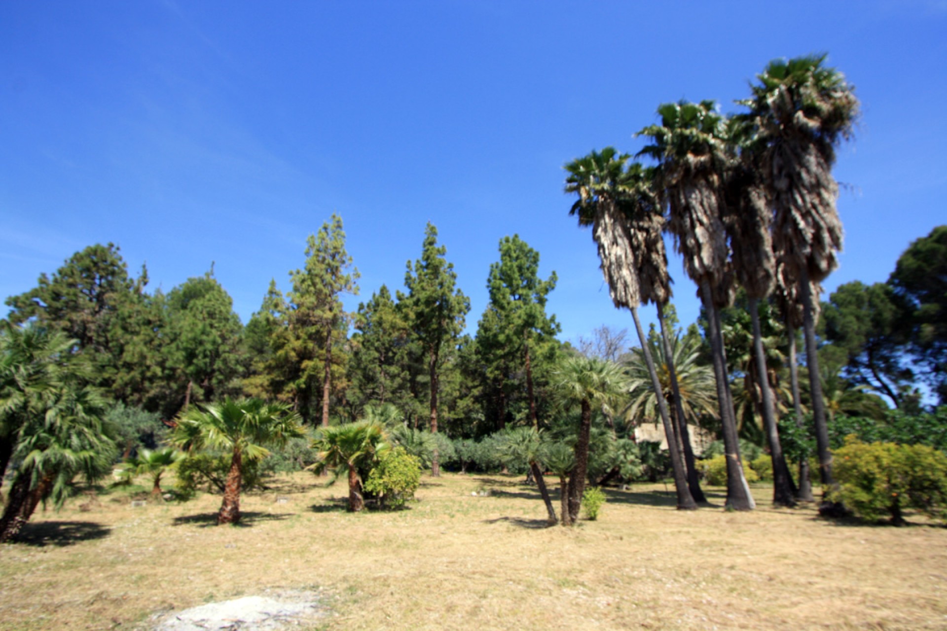 Te koop - Villa -
Sagra - Casco urbano