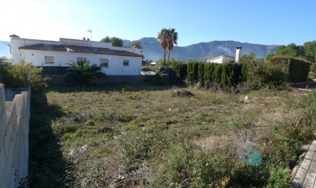 Terrain - A Vendre - Alcalali - Alcalali