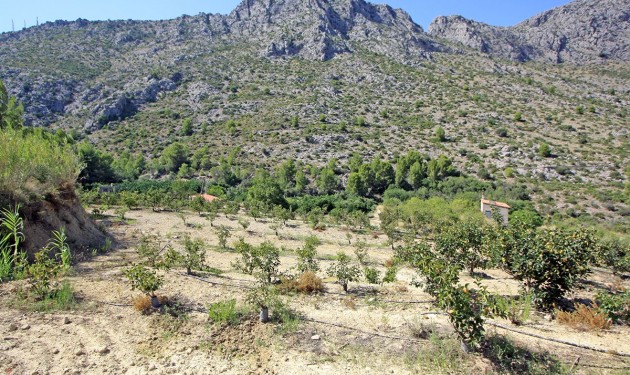 Terrain - A Vendre - Beniarbeig - Periferia