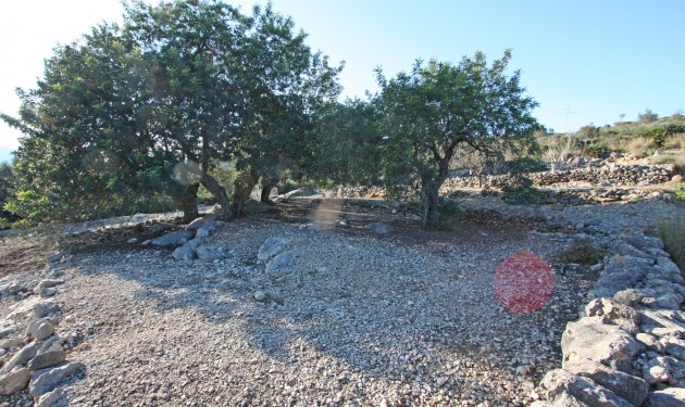 Terrain - A Vendre - Benimeli - Benimeit