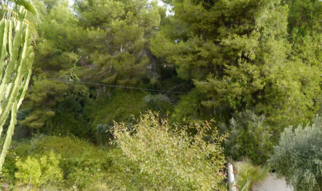 Terrain - A Vendre - Benissa - Buenavista