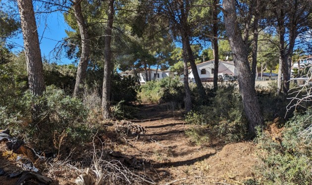 Terrain - A Vendre - Benissa - CBD1592