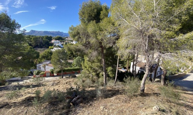 Terrain - A Vendre - Benissa - La Fustera