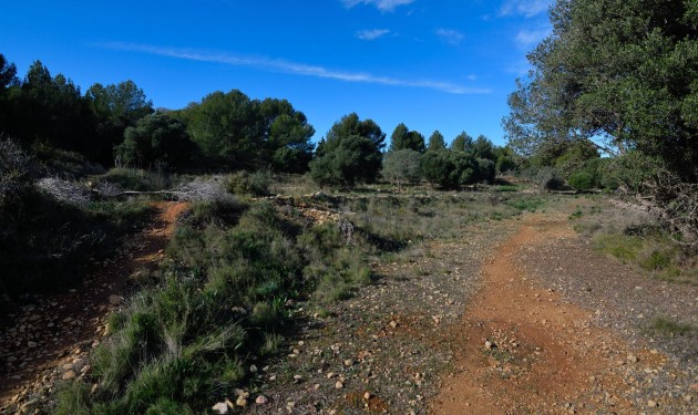 Terrain - A Vendre - Benissa -
                Rural
