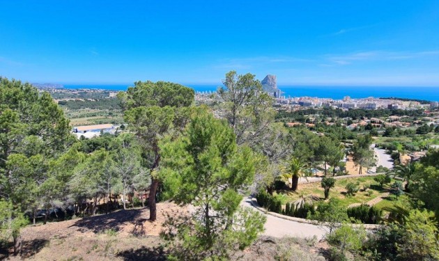 Terrain - A Vendre - Calpe -
                Calpe