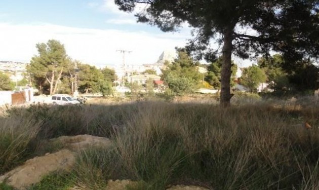 Terrain - A Vendre - Calpe - Canuta I