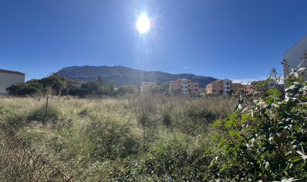 Terrain - A Vendre - Denia -
                Center