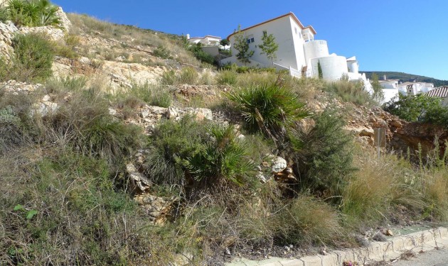 Terrain - A Vendre - Jalon - Jalon