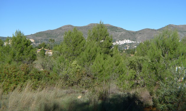 Terrain - A Vendre - Jalon - Jalon