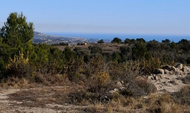 Terrain - A Vendre - Jalon - Jalon