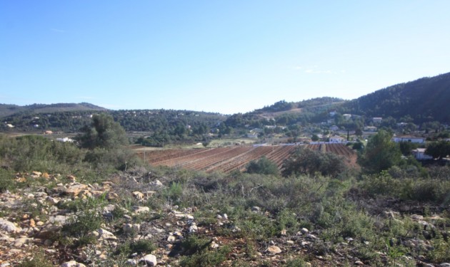 Terrain - A Vendre - Lliber -
                Lliber