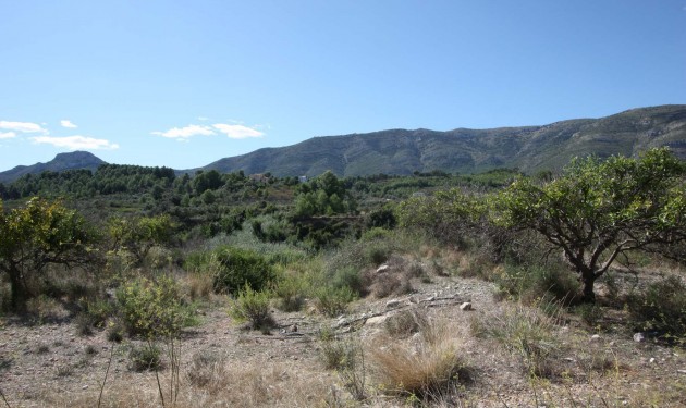 Terrain - A Vendre - Murla - Murla