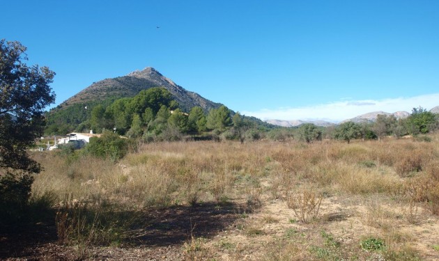 Terrain - A Vendre - Murla -
                Murla