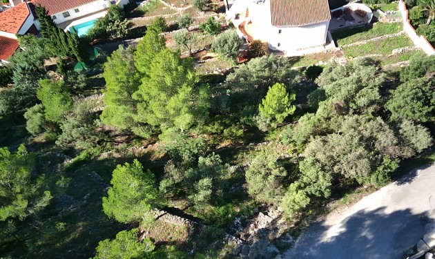 Terrain - A Vendre - Orba - Orba