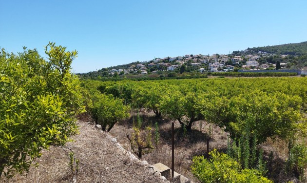 Terrain - A Vendre - Orba - Orba