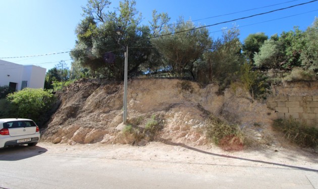 Terrain - A Vendre - Orba - Orba