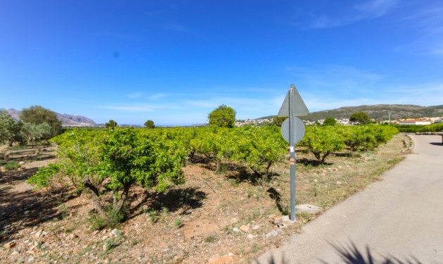 Terrain - A Vendre - Orba - Orba