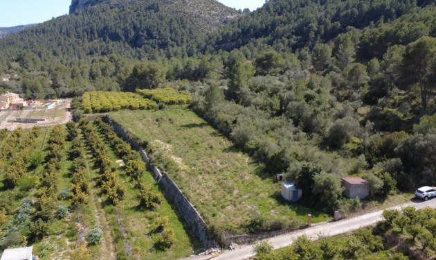 Terrain - A Vendre - Orba - Orba