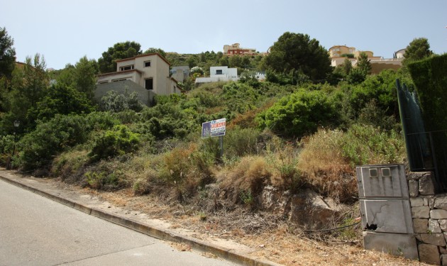 Terrain - A Vendre - Pedreguer - Pedreguer