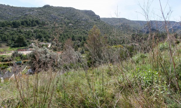 Terrain - A Vendre - Pedreguer - Pedreguer