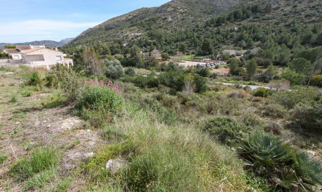 Terrain - A Vendre - Pedreguer - Pedreguer