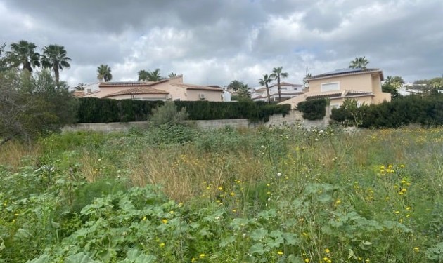 Terrain - A Vendre - Teulada - Teulada