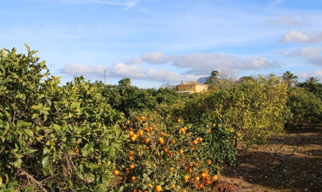 Villa - Sale - Ondara - Ondara