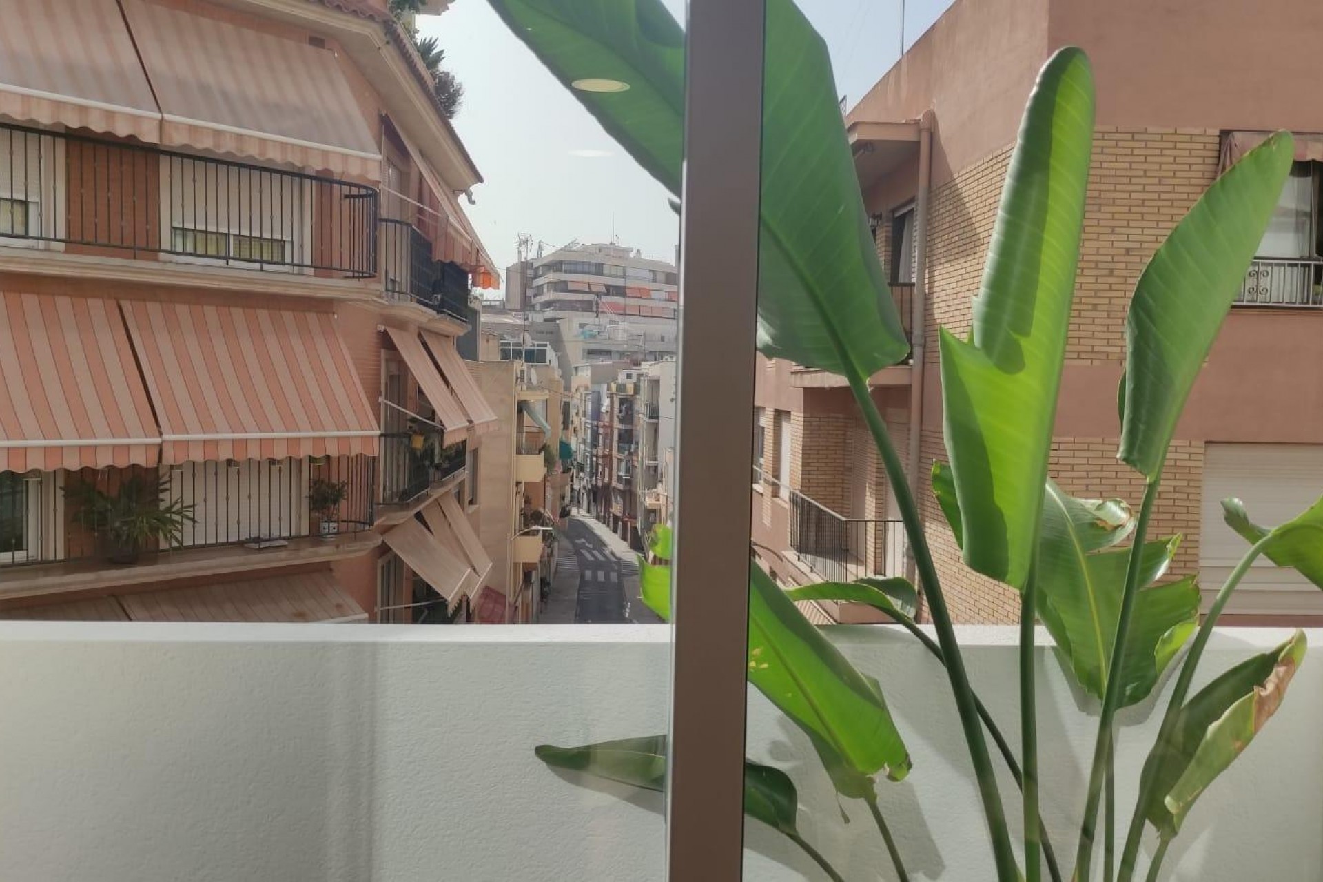 Zu verkaufen - Apartamento -
Alicante - Centro