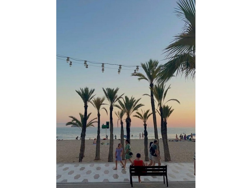 Zu verkaufen - Apartamento -
Benidorm
