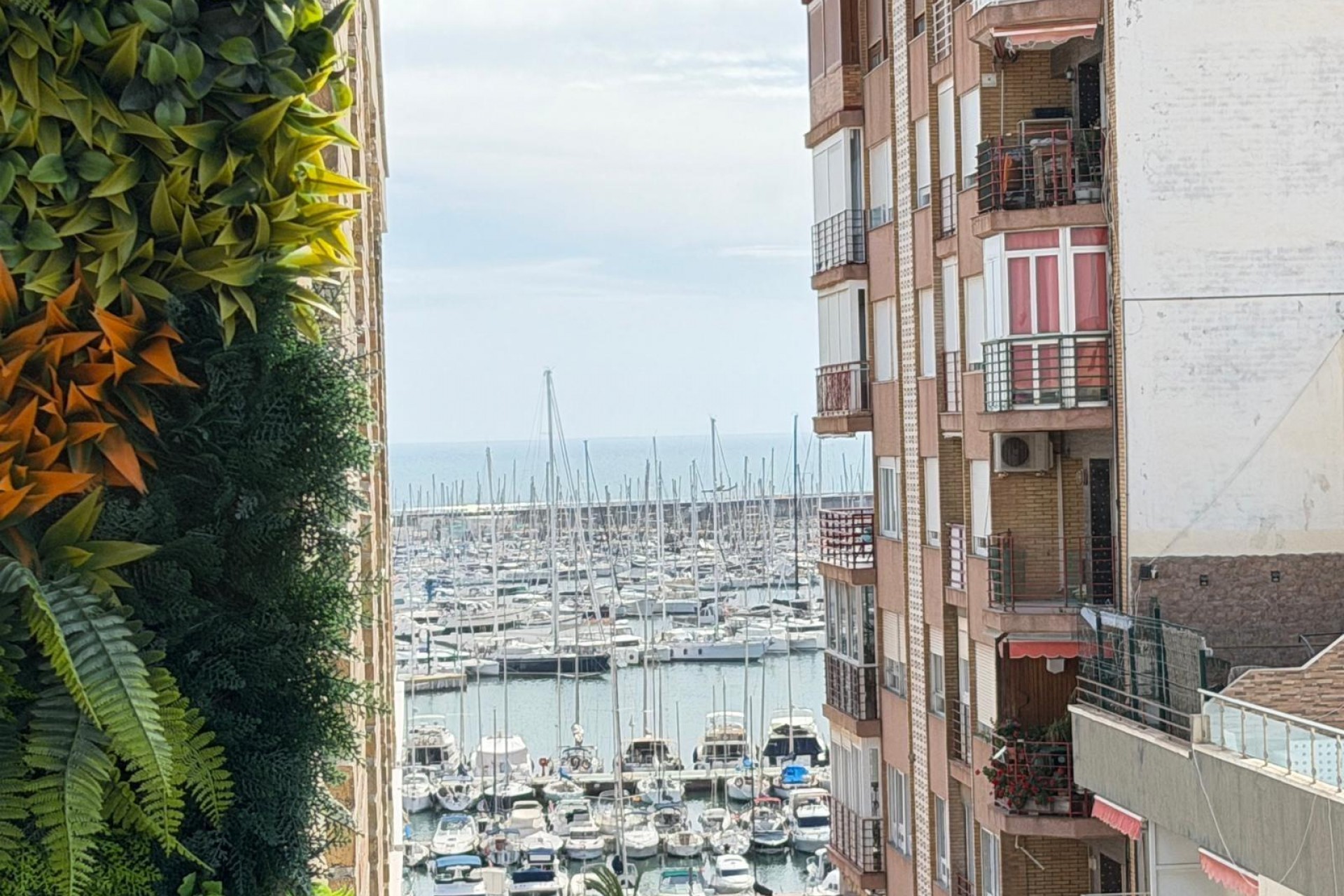 Zu verkaufen - Apartamento -
Torrevieja - Centro