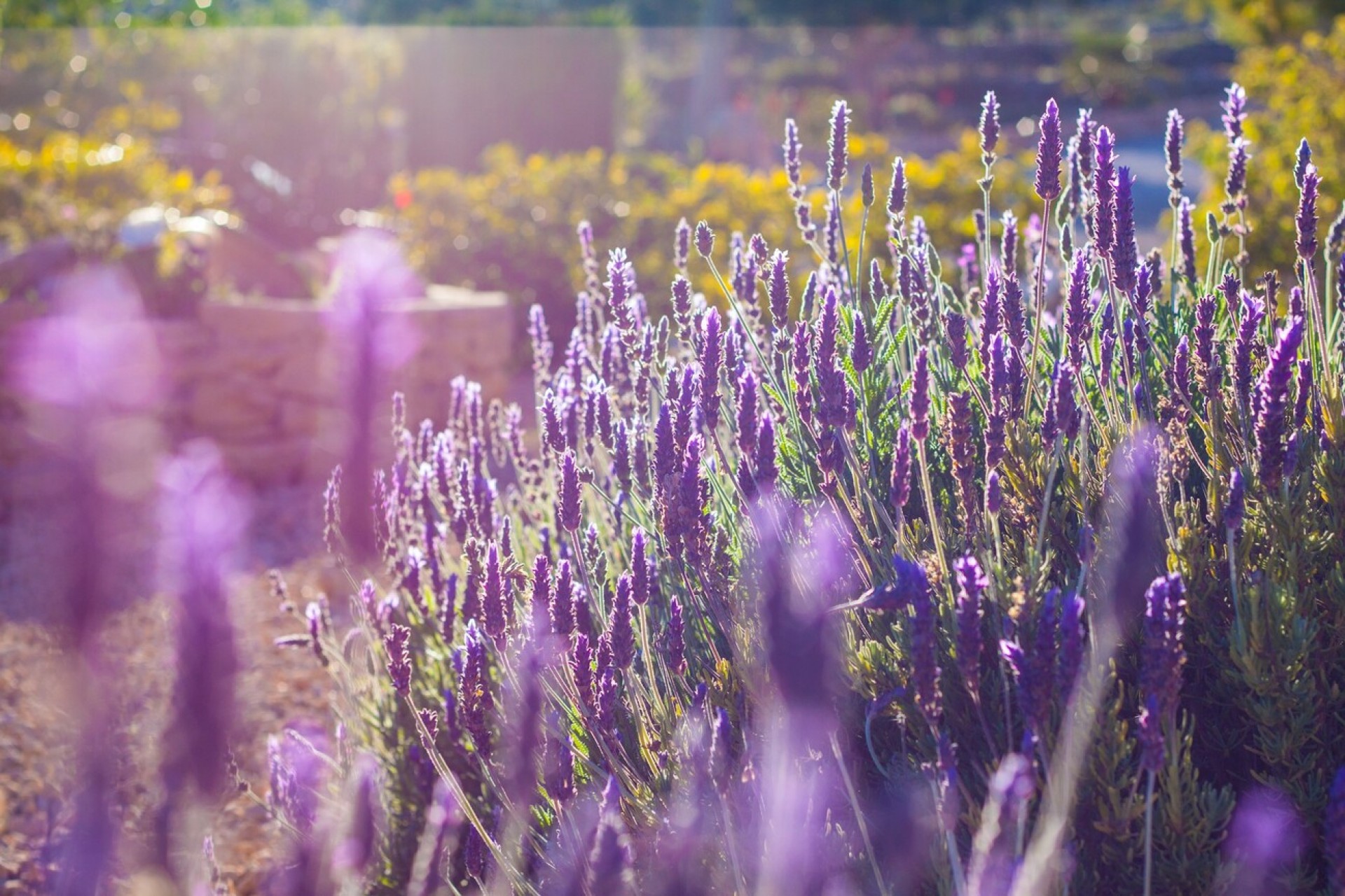 Zu verkaufen - Finca / Landgut -
Benissa - Costa Blanca