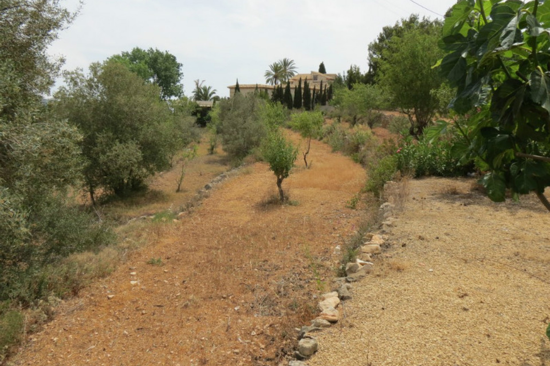 Zu verkaufen - Finca / Landgut -
Benissa