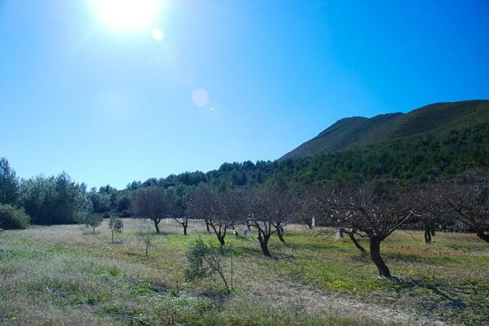 Zu verkaufen - Finca / Landgut -
Benissa