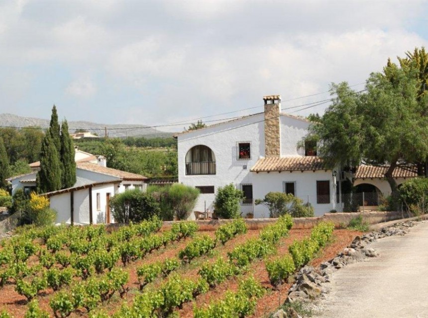 Zu verkaufen - Finca / Landgut -
Jalon