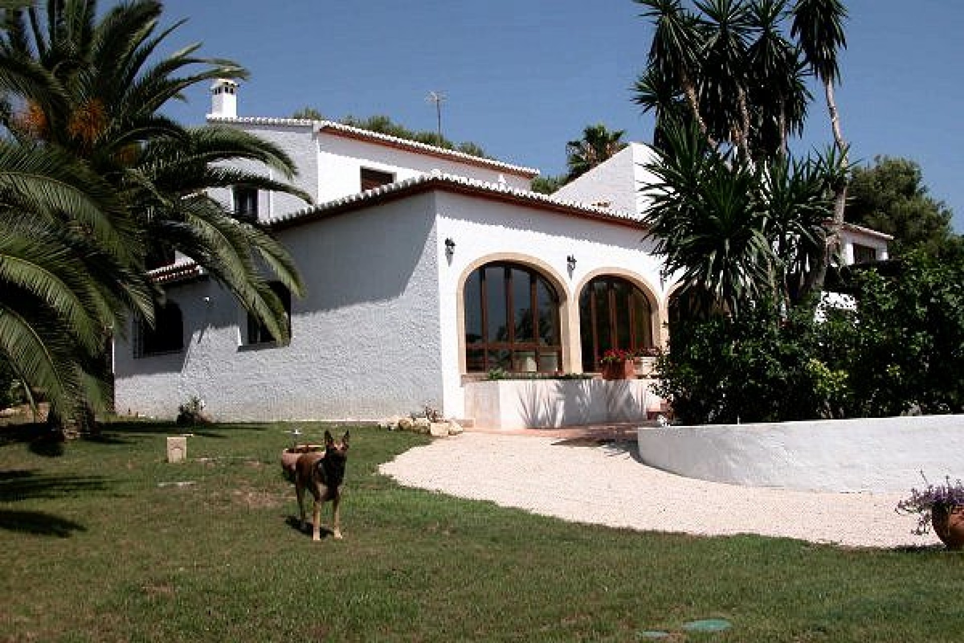 Zu verkaufen - Finca / Landgut -
Javea