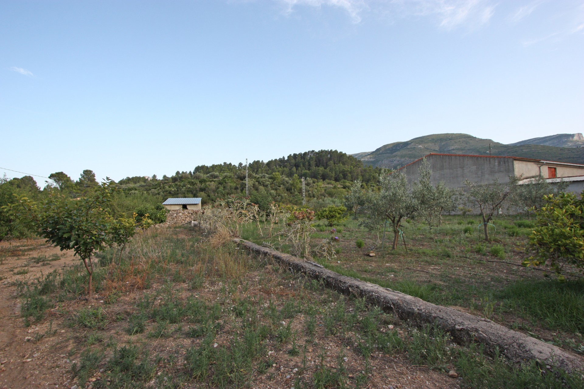 Zu verkaufen - Finca / Landgut -
Murla
