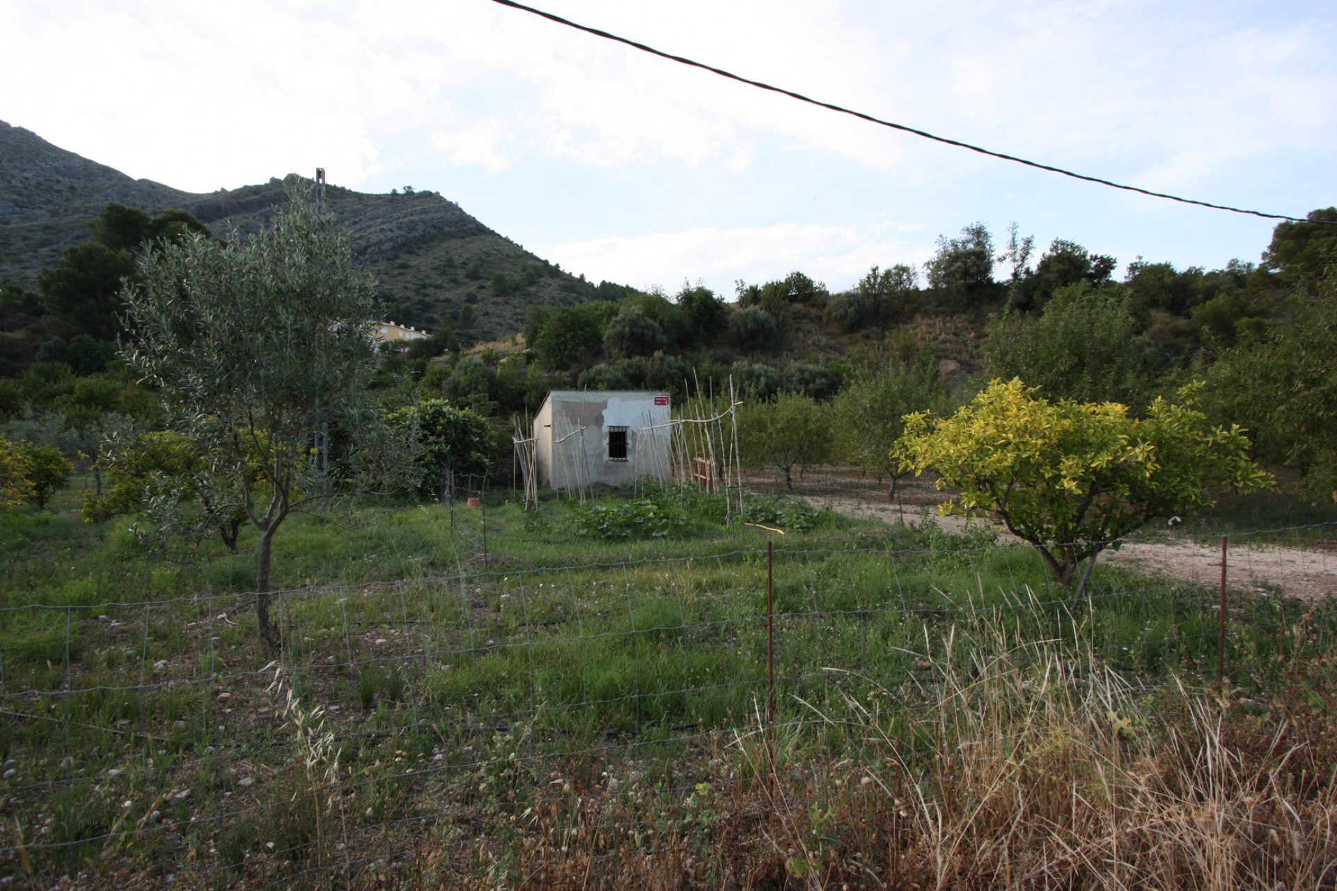 Zu verkaufen - Finca / Landgut -
Murla