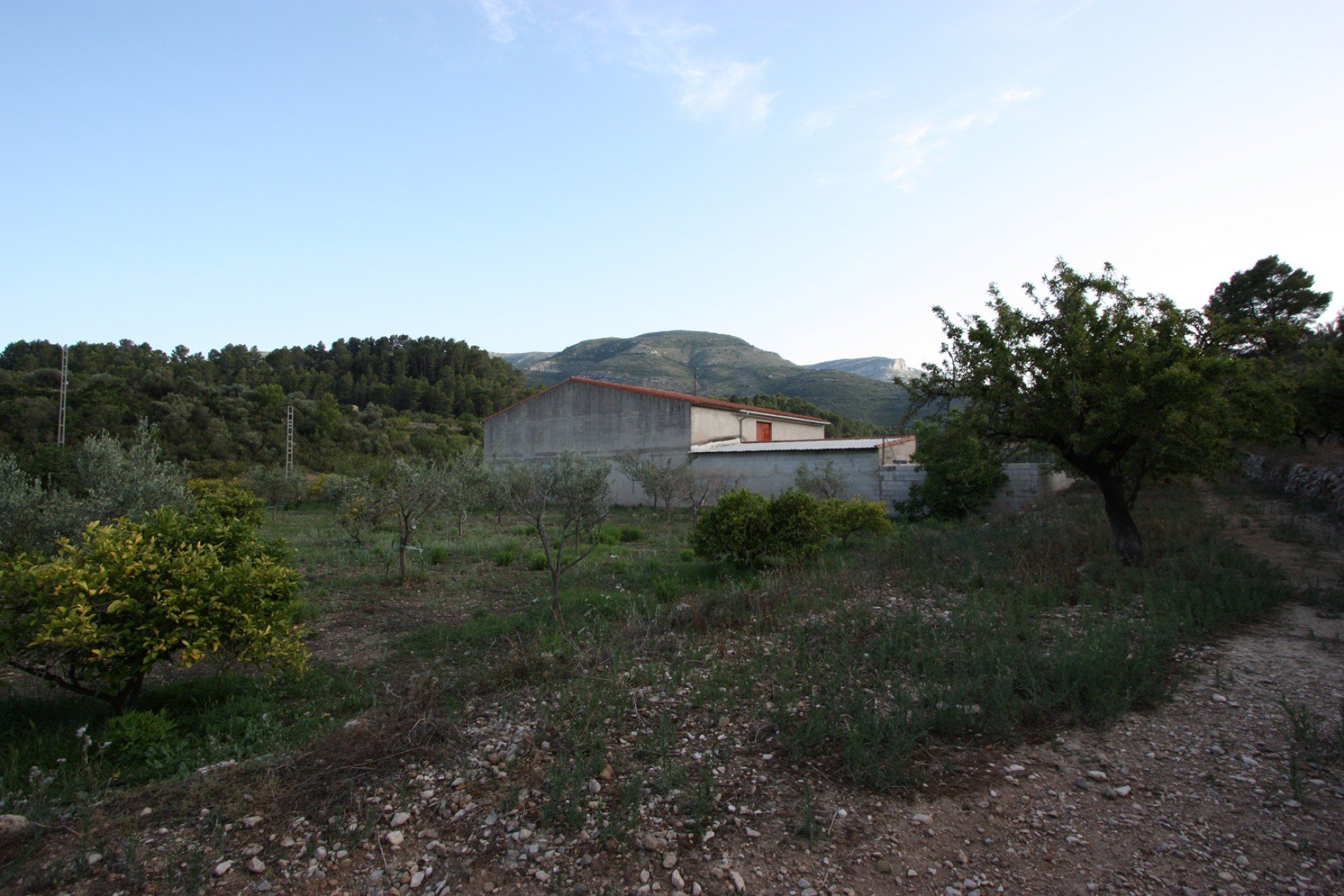 Zu verkaufen - Finca / Landgut -
Murla