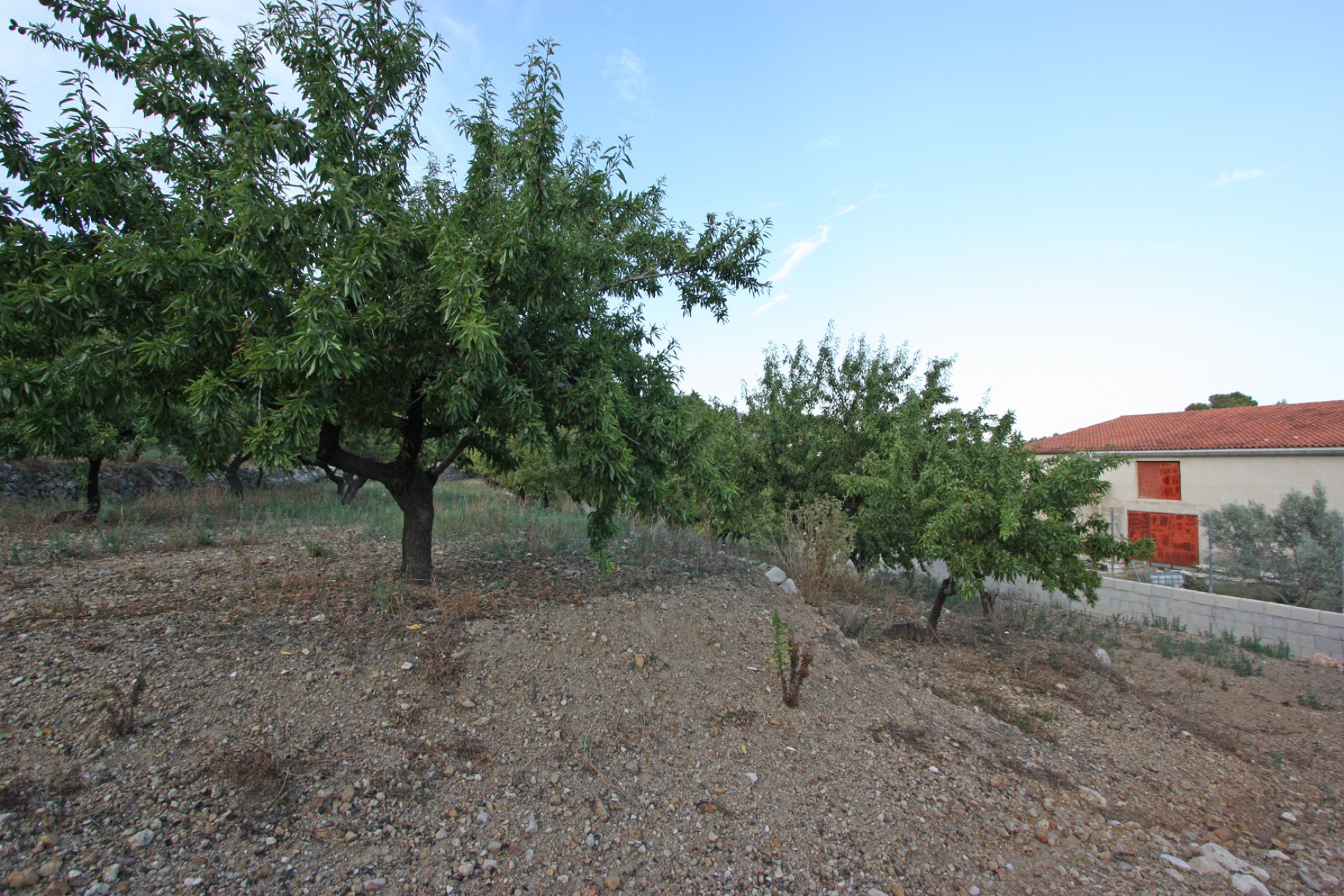 Zu verkaufen - Finca / Landgut -
Murla