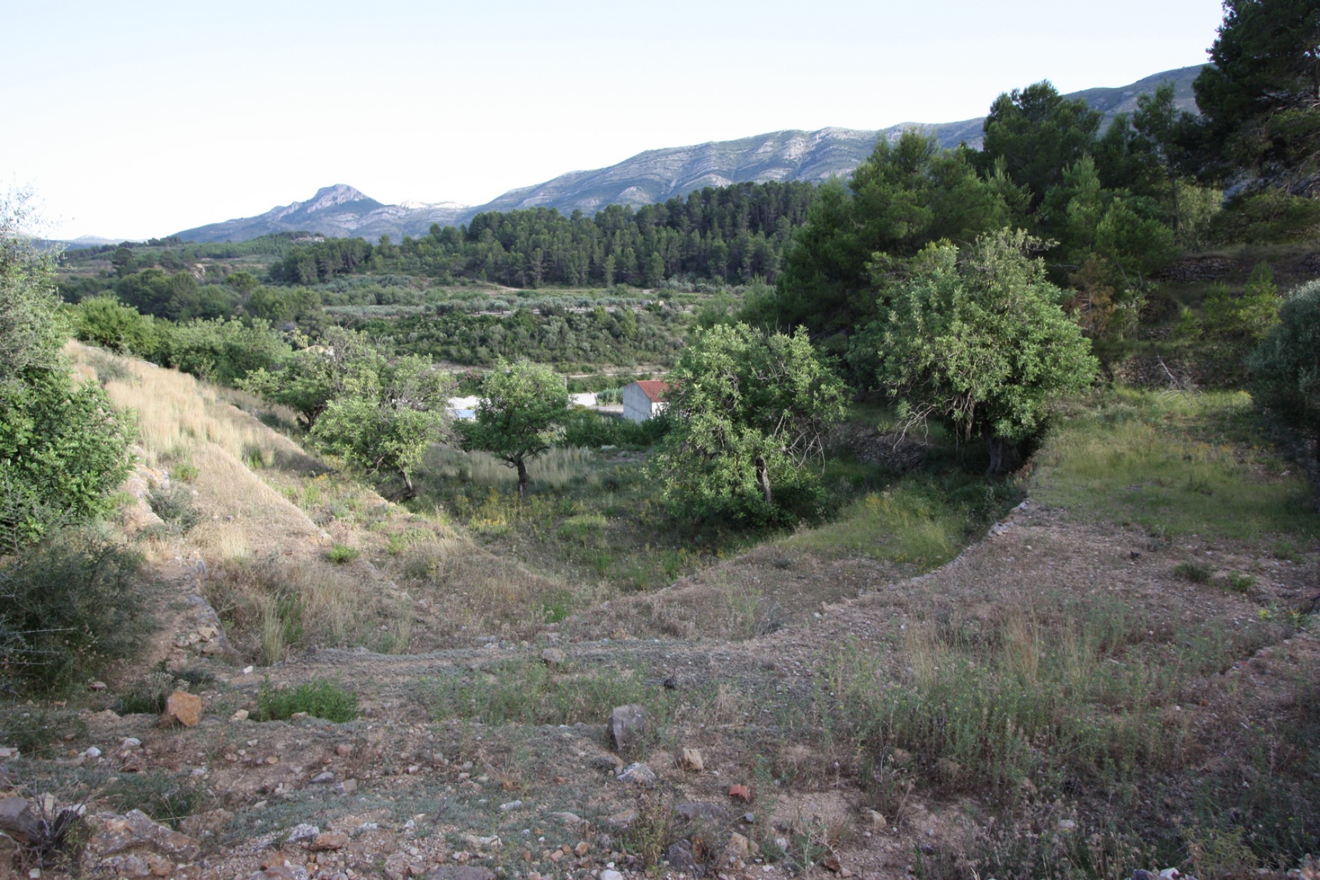 Zu verkaufen - Finca / Landgut -
Murla
