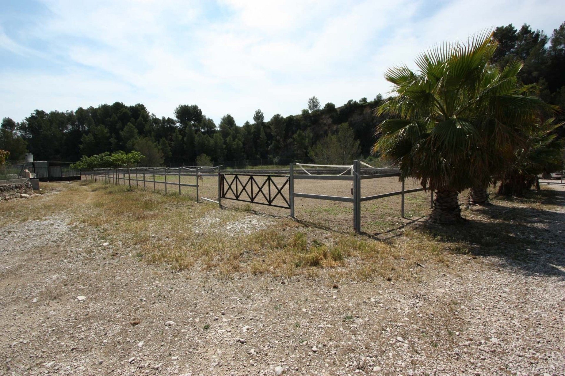 Zu verkaufen - Finca / Landgut -
Orba