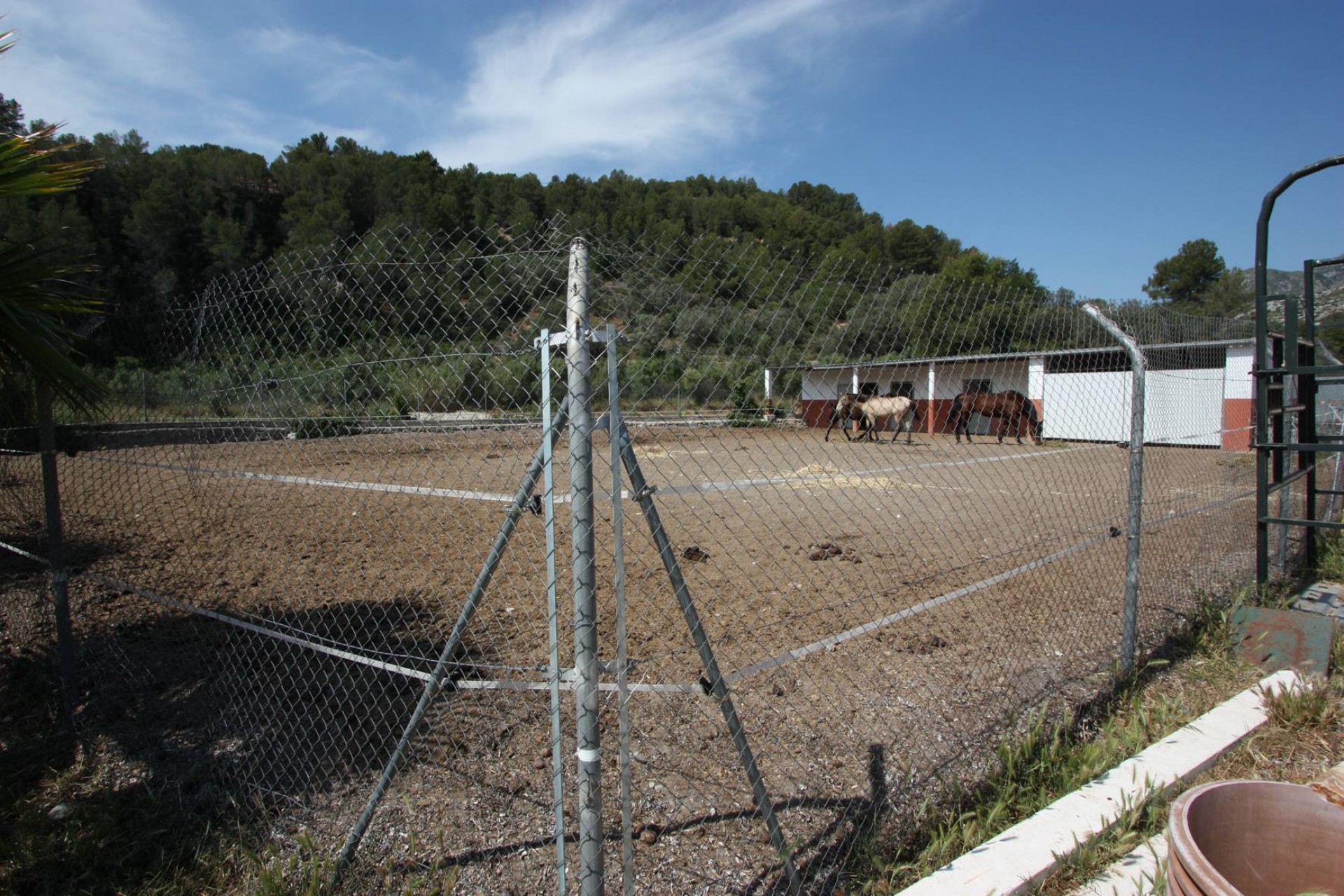 Zu verkaufen - Finca / Landgut -
Orba