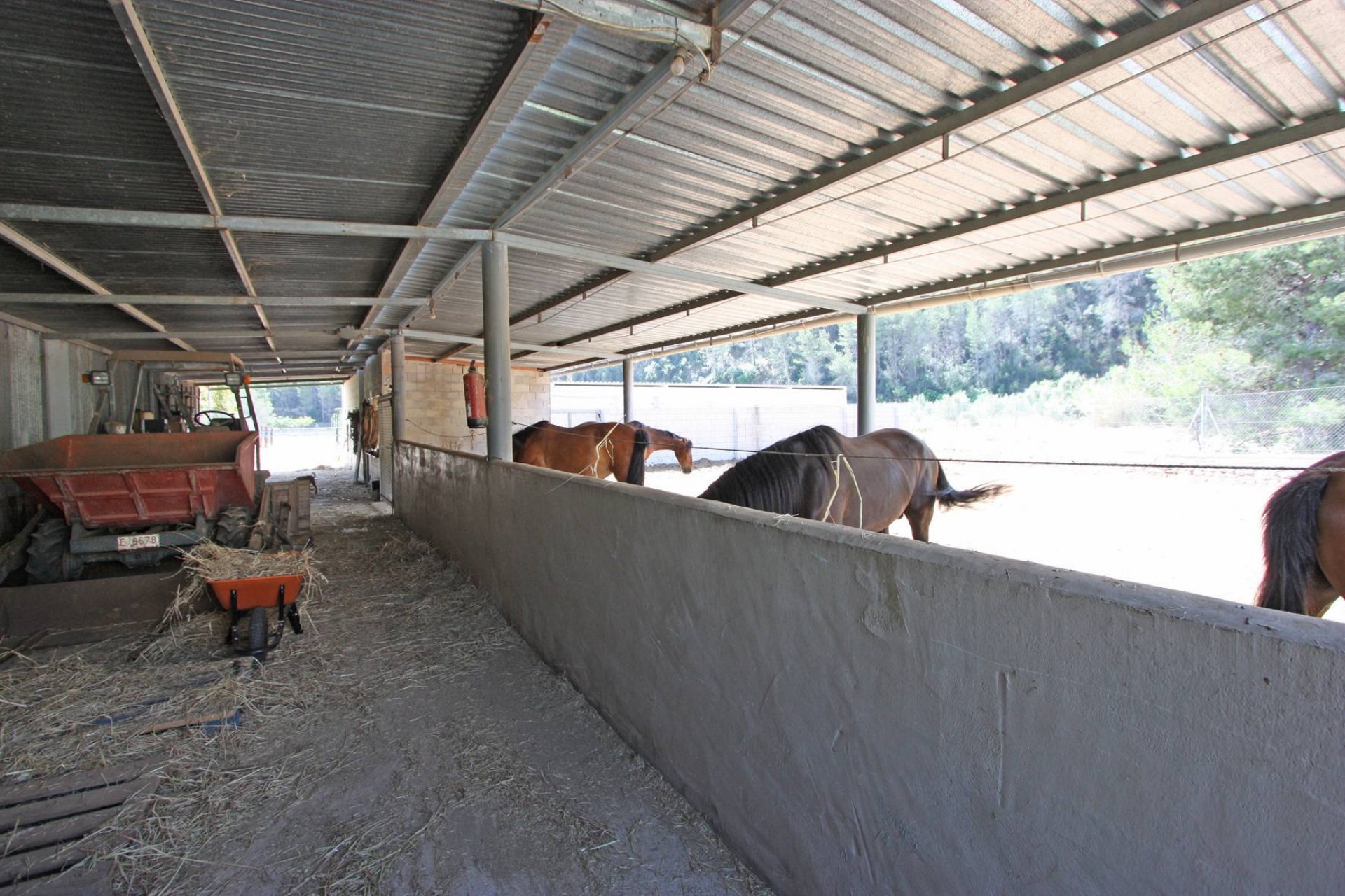 Zu verkaufen - Finca / Landgut -
Orba