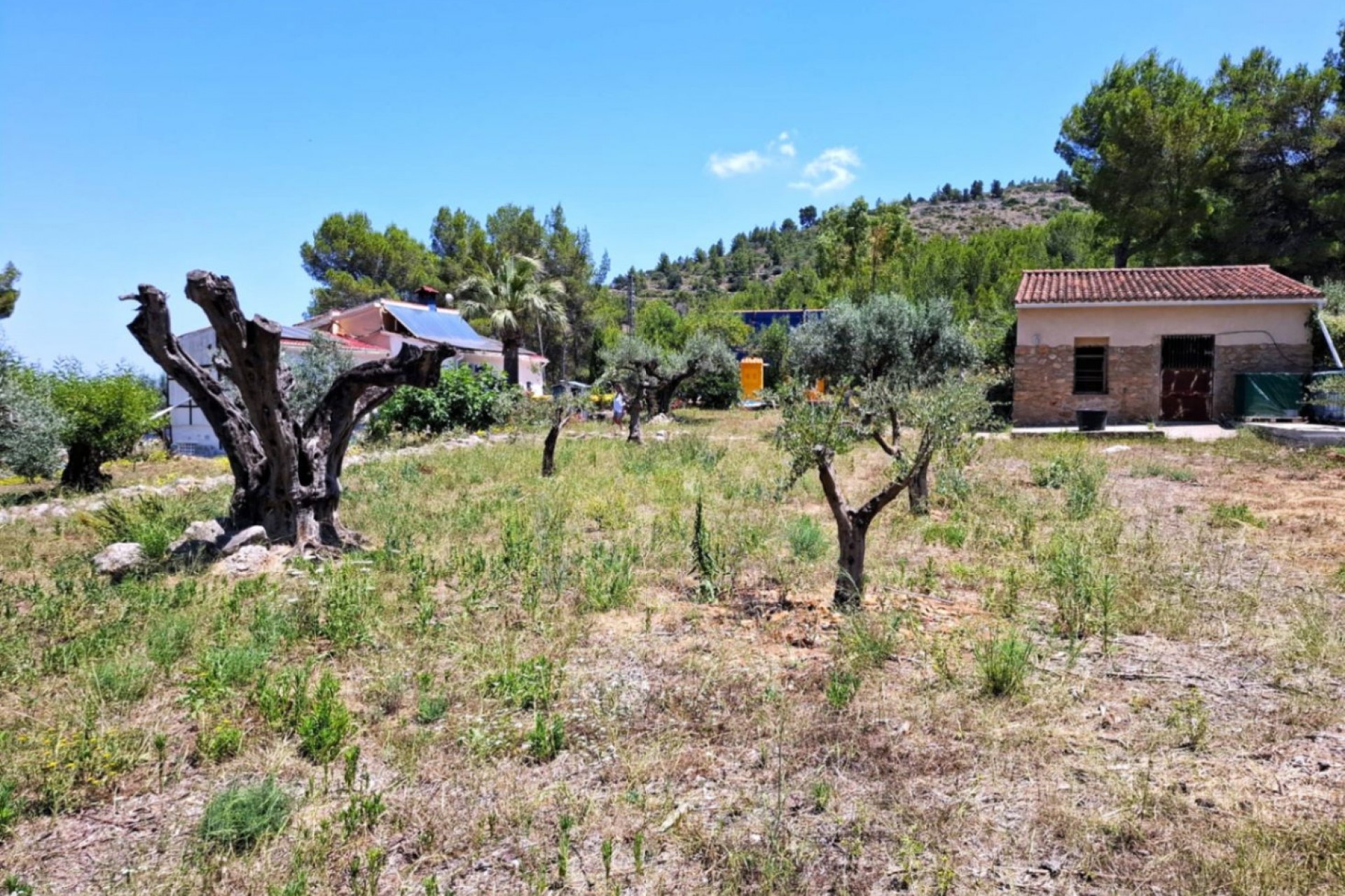 Zu verkaufen - Finca / Landgut -
Parcent