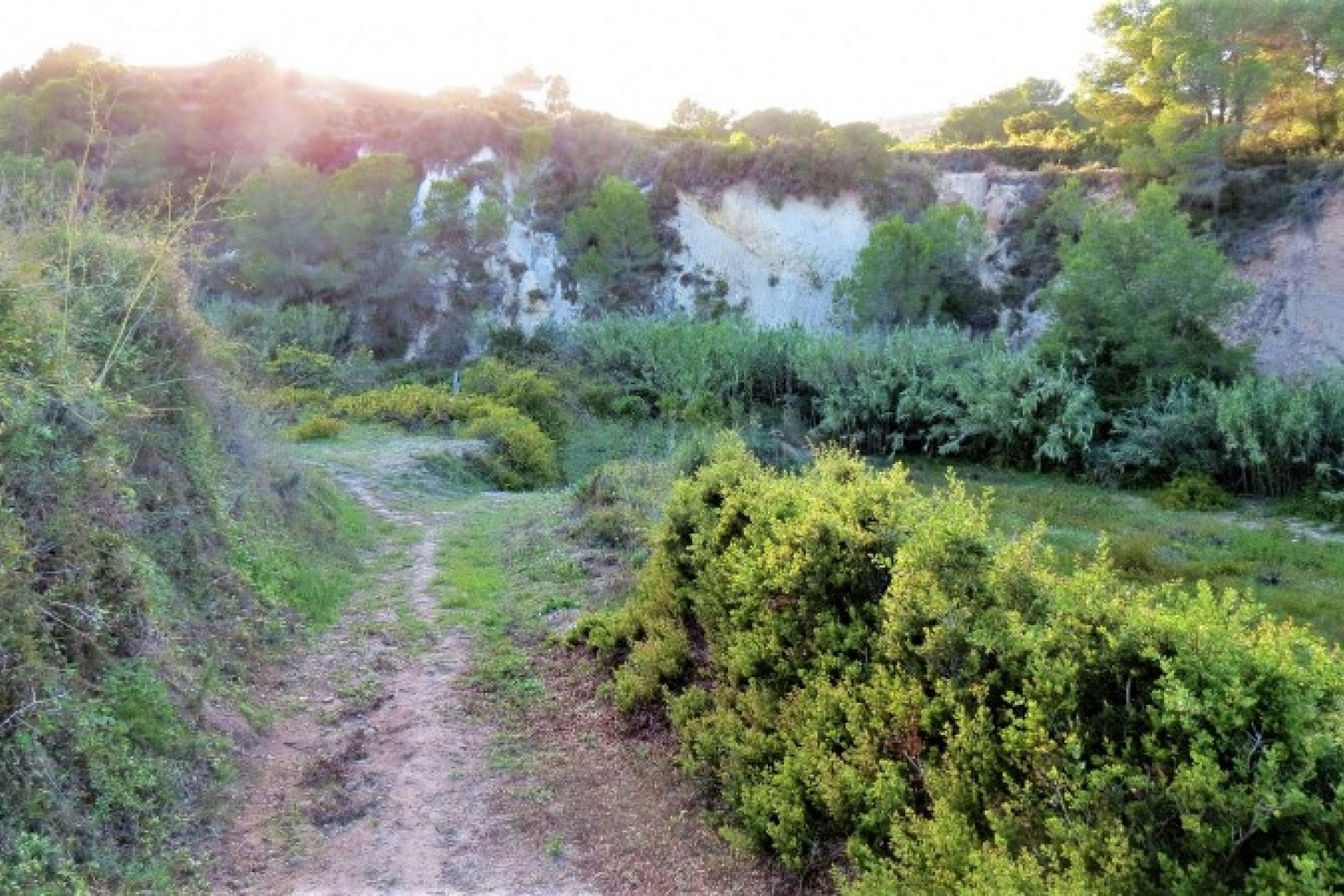 Zu verkaufen - Finca / Landgut -
Teulada