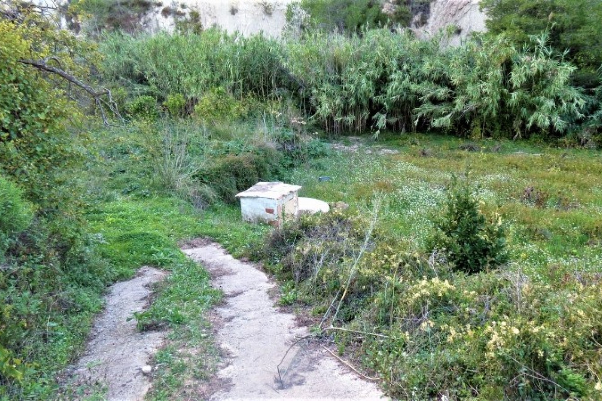 Zu verkaufen - Finca / Landgut -
Teulada