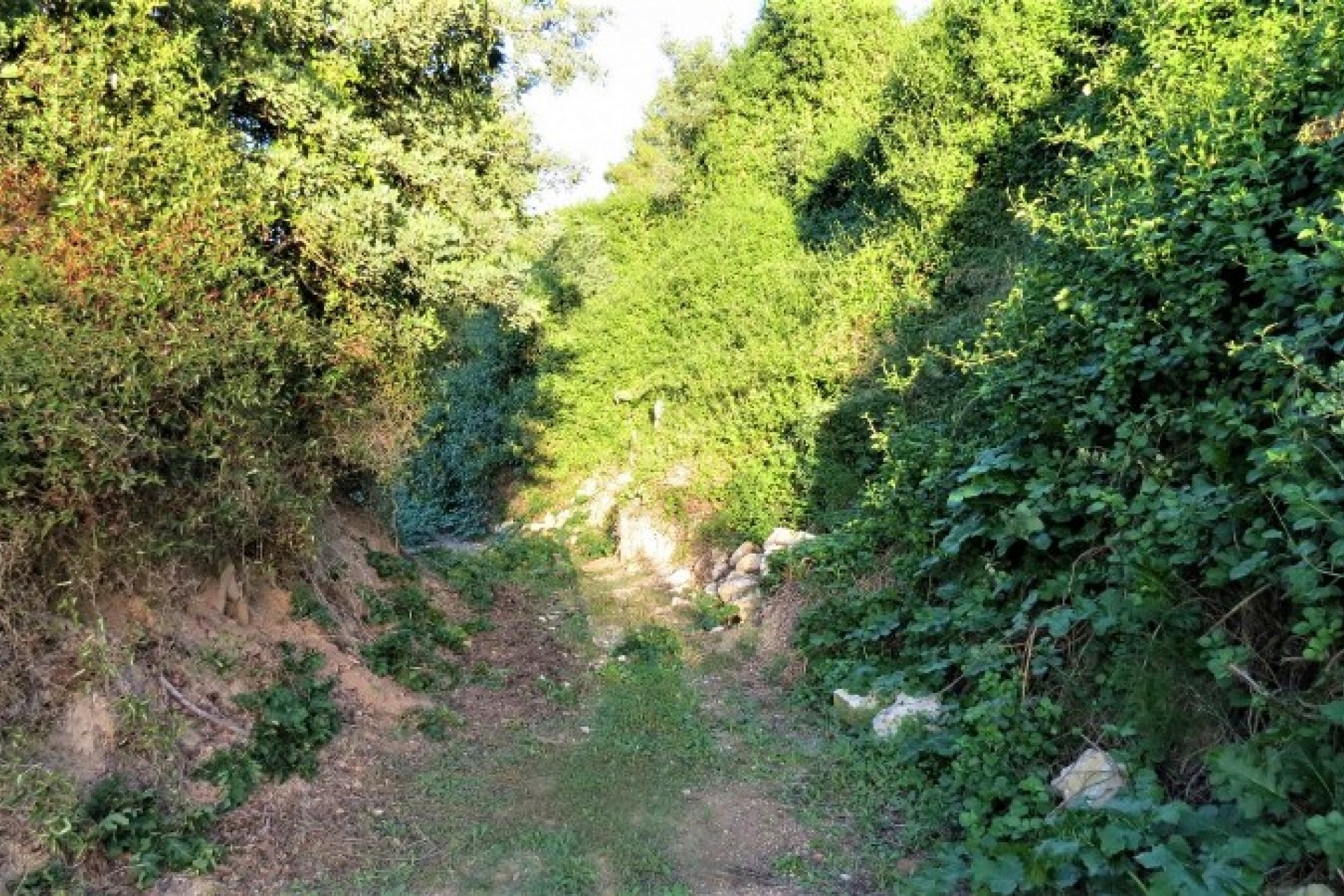 Zu verkaufen - Finca / Landgut -
Teulada