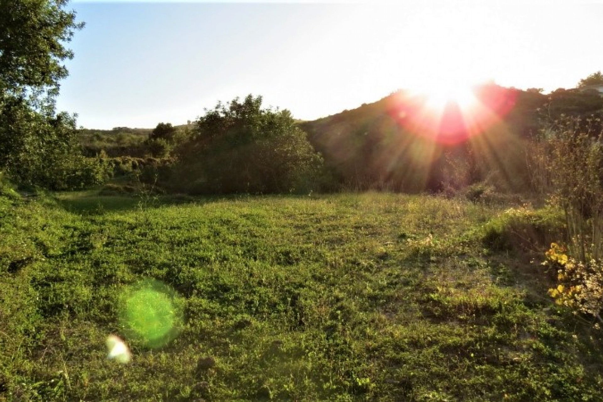 Zu verkaufen - Finca / Landgut -
Teulada