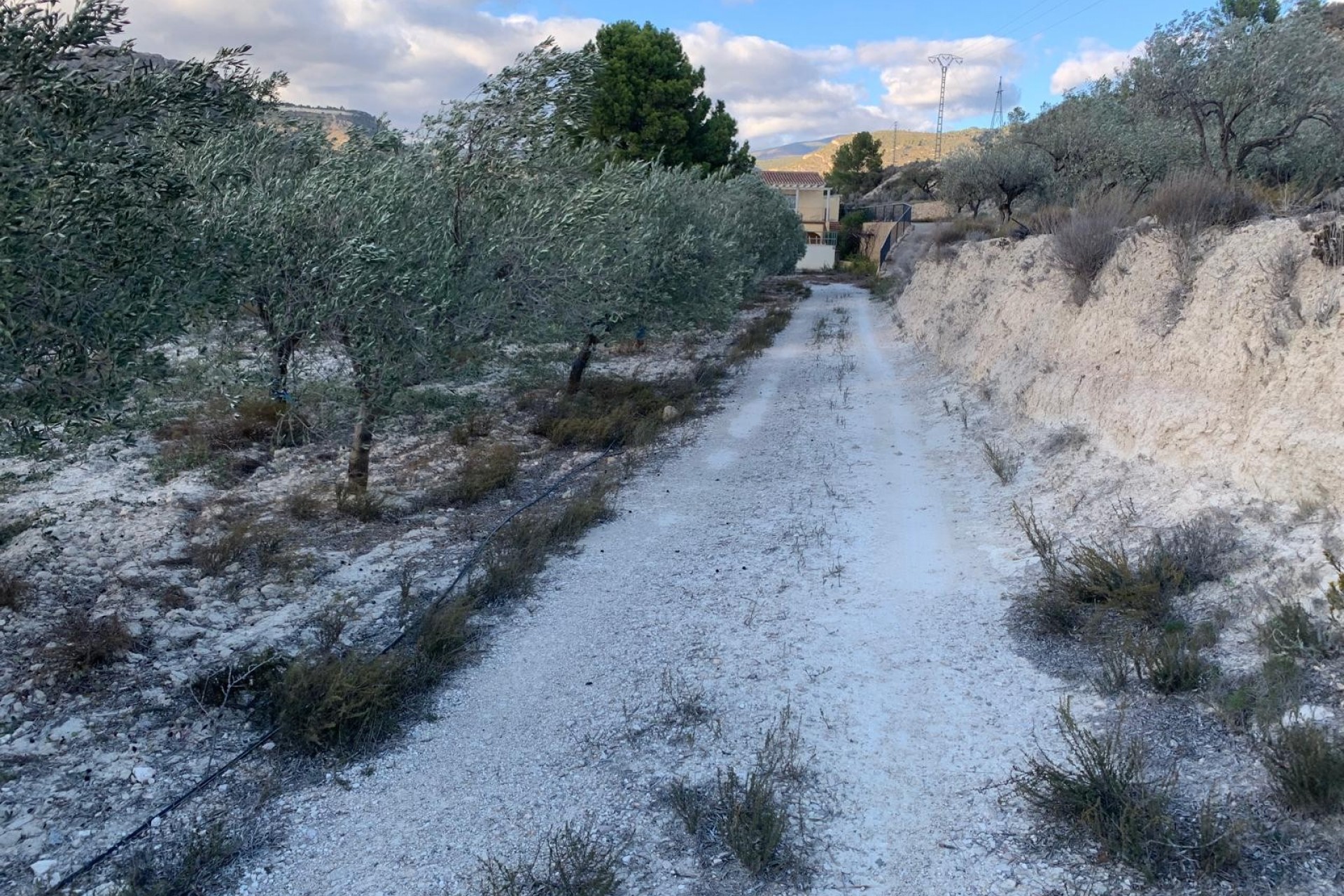 Zu verkaufen - Finca -
Senija