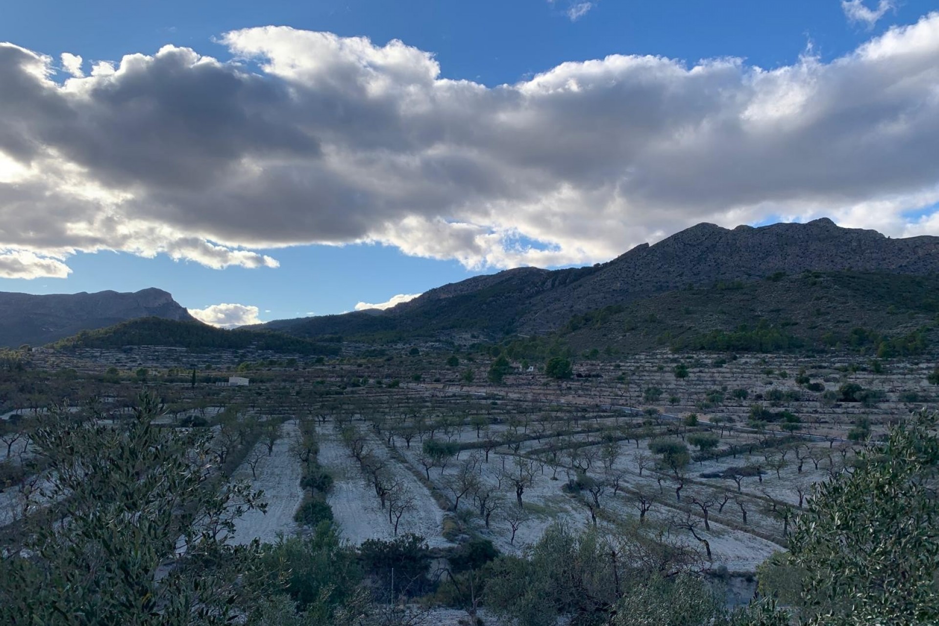 Zu verkaufen - Finca -
Senija